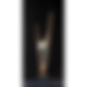 Tolgus (preview)