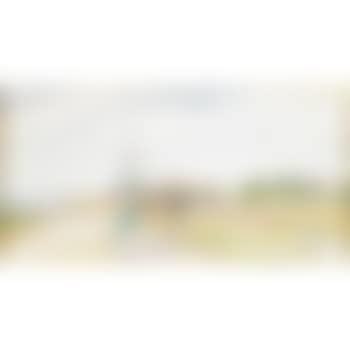New Hampshire (preview)