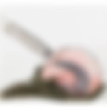 Caster (preview)