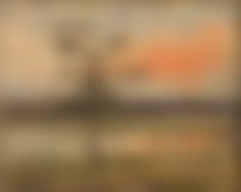 Dachauer Moor (preview)