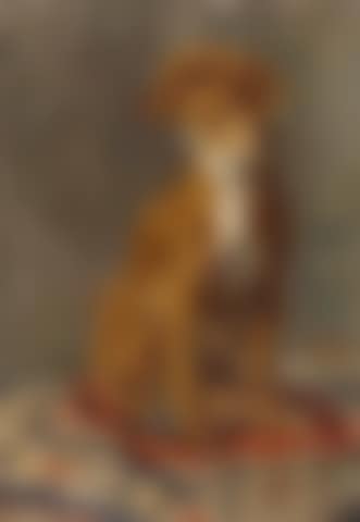 Schoßhund (preview)