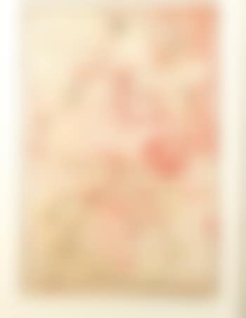 Personnage, oiseau, étoile (preview)