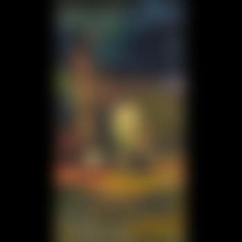 Sera con figure e gatto (preview)