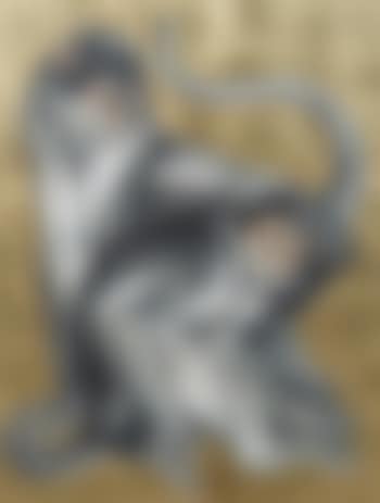 Singes (preview)