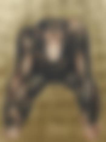 Chimpanzé (preview)