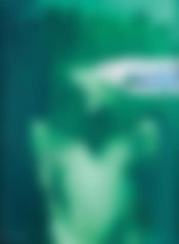 Portrait en vert (preview)