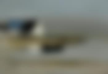 Vue de Bretagne (preview)