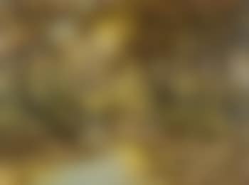 Herbstliche Landschaft (preview)