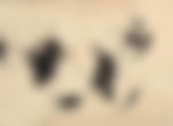 Abstraction (preview)