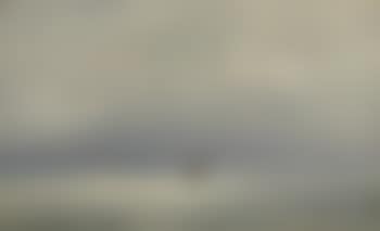 Kleines Segelschiff auf dem Meer (preview)
