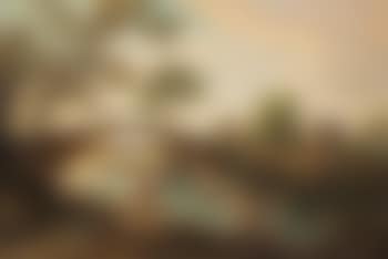 Paesaggio (preview)