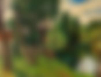 Arbres en bordure de rivière (preview)