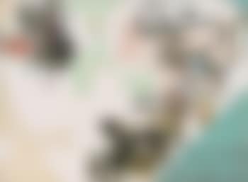 Ohne Titel (preview)