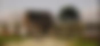 Cabin Scene with Citrus Trees (preview)