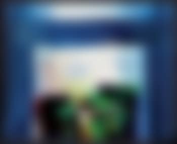 Phenomena wind song window (preview)