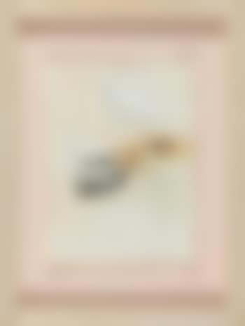 Brosses (preview)