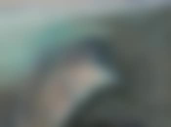 The shell beach, Kingscliff (preview)