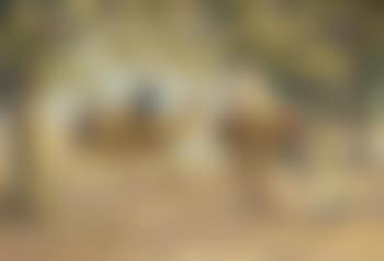 Egypt (preview)