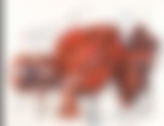 Ohne Titel (preview)