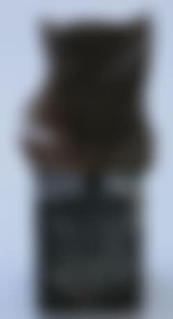 Portrait d'homme (preview)