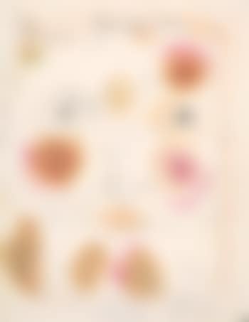 Tête (preview)