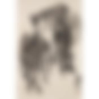 Five donkeys (preview)