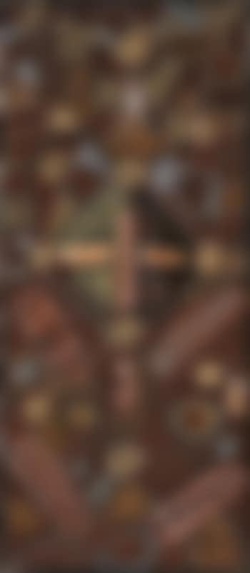 Untitled (medicine and bush tucker) (preview)