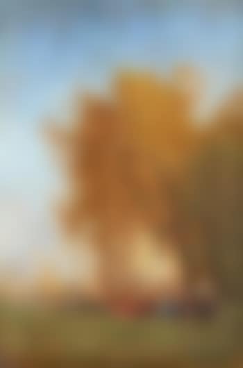 Partie de campagne à Venise (preview)