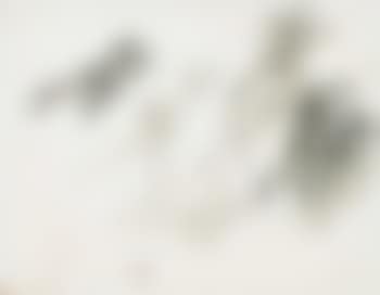 Amorcillos (preview)