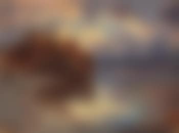 Bord De Lac Et Massif D'arbres (preview)