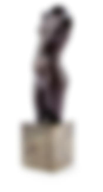 Torso (preview)