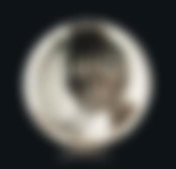 Oiseau au ver (preview)