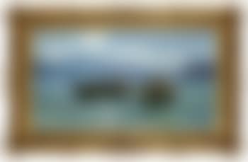 Fisherman, Lac de Bourget (preview)