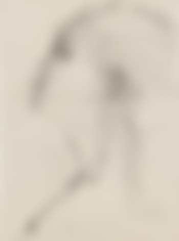 Fillette de profil (preview)