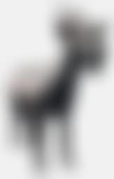 Cloned black goat (preview)