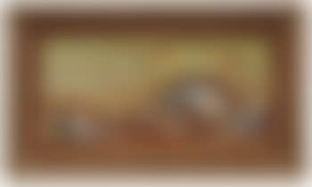 Les coquilles (preview)