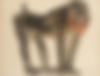 Babouin (preview)