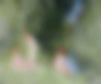 Baigneuses (preview)