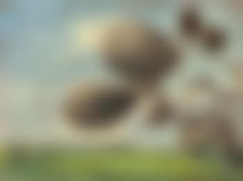 Ohne Titel (landschaft) (preview)