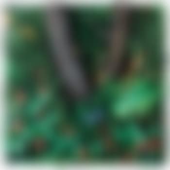Fragole nel bosco (preview)