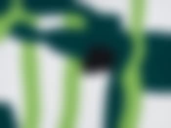 Candore incolore (preview)