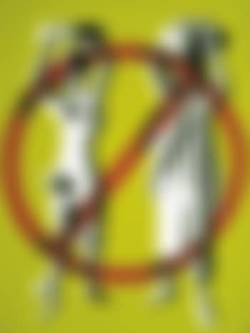 No culture (preview)
