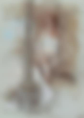 The White Camisole (preview)