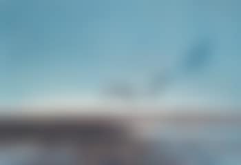 Settling Geese (preview)
