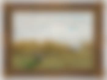 Hunter and mallards (preview)