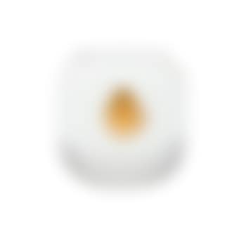 [untitled] (preview)