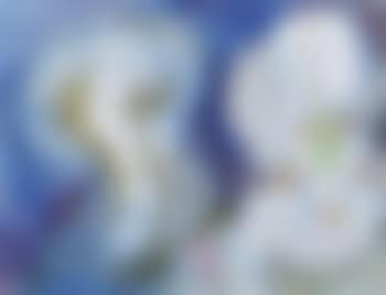 Look at the mirror (Barbar & Celeste Series) (preview)