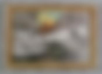 Winter scene (preview)