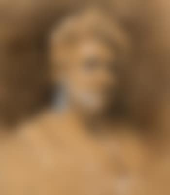 The look (preview)