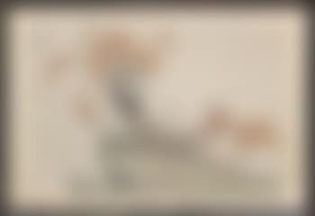 Rooster (preview)